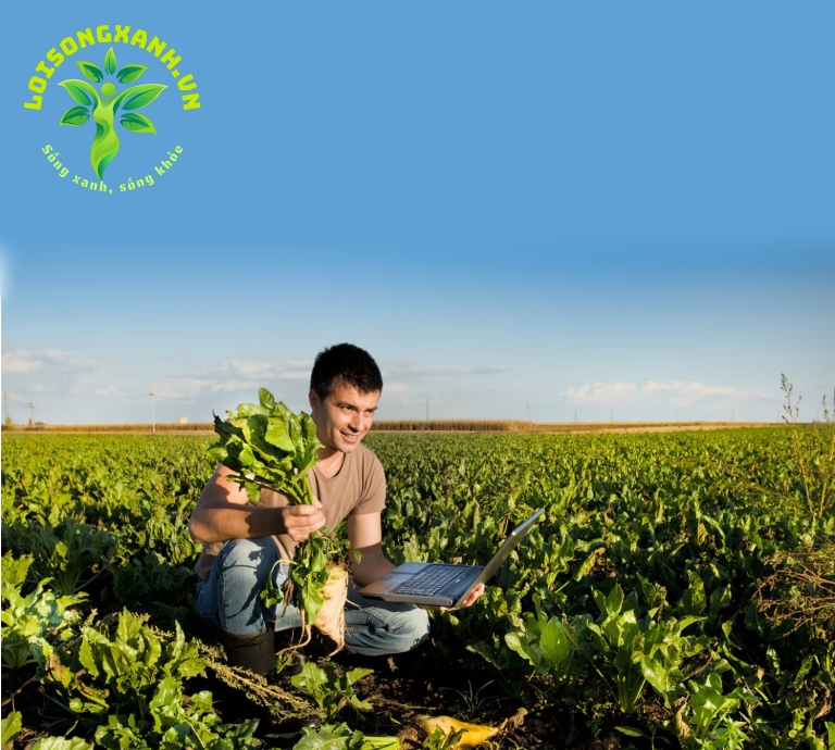 Hỗ trợ nông dân và người sản xuất địa phương